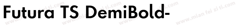 Futura TS DemiBold字体转换